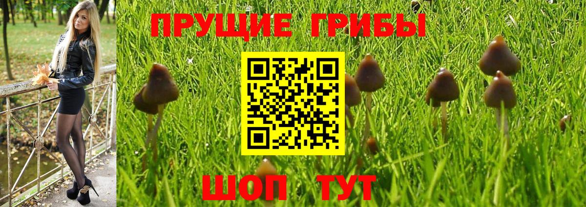 Вышний Волочёк  Псилоцибиновые грибы ЛСД  Вход с VPN 