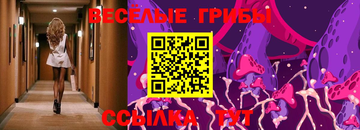 Псилоцибиновые грибы GOLDEN TEACHER Вышний Волочёк